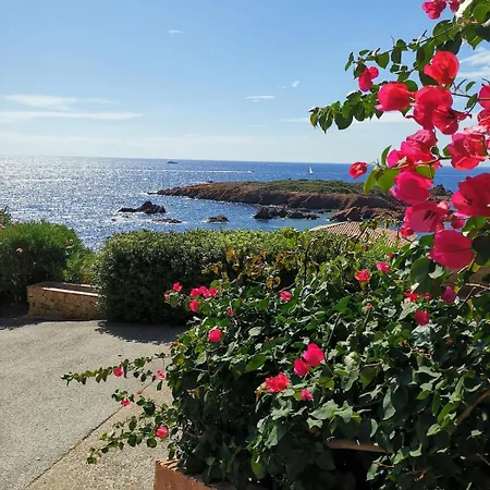 Apartment La Veille Saint-Raphaël